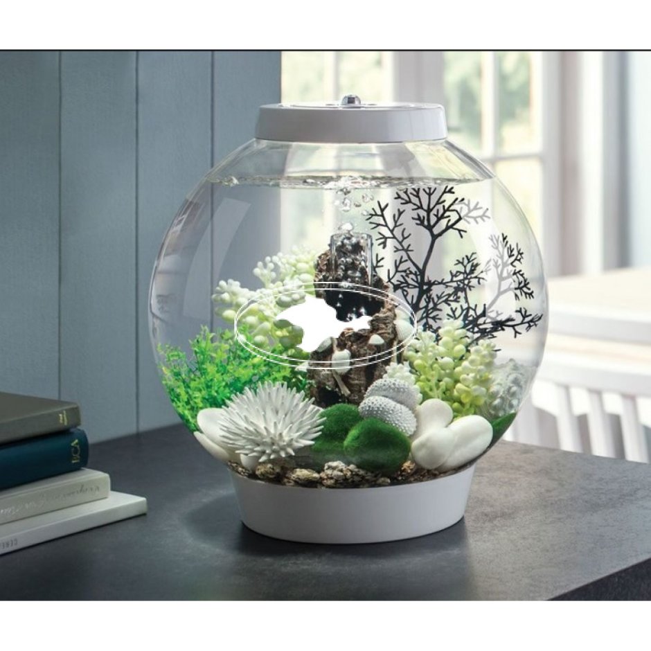 Аквариум BIORB Classic