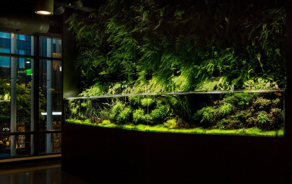 Акватеррариум акваскейп