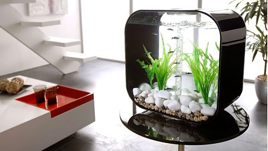 Маленький аквариум в интерьере