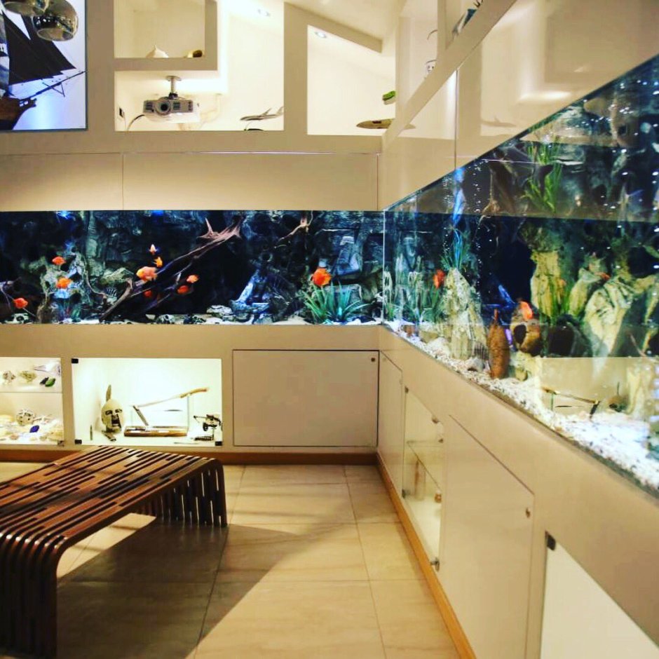 Имитация аквариума в интерьере
