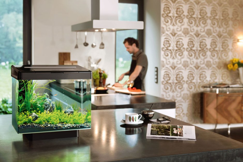 Небольшой аквариум в интерьере