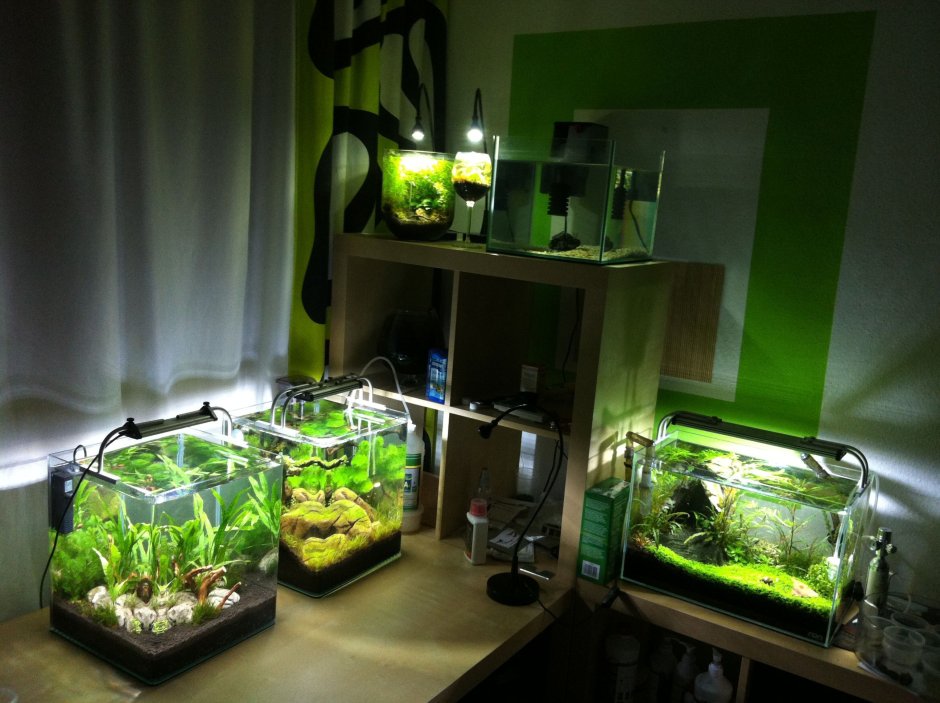 Дизайн нано аквариума