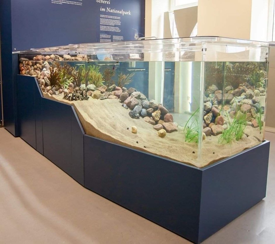 Лучший аквариум