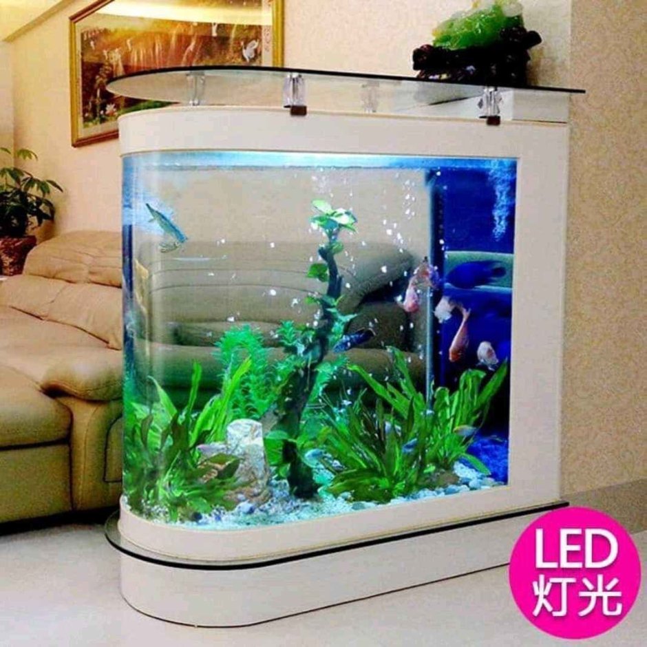 Аквариум дома