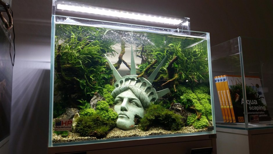 Оливер Кнотт аквариумы