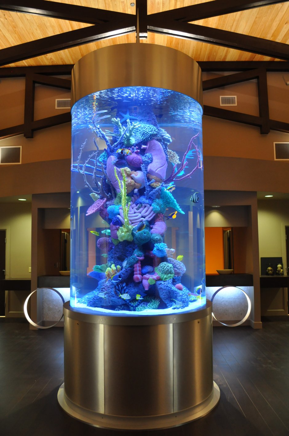 Дизайнерский аквариум