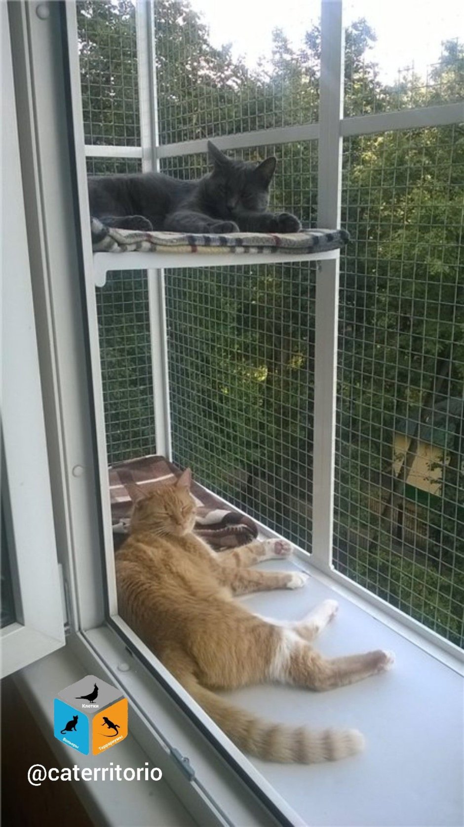 Клетка для кошек