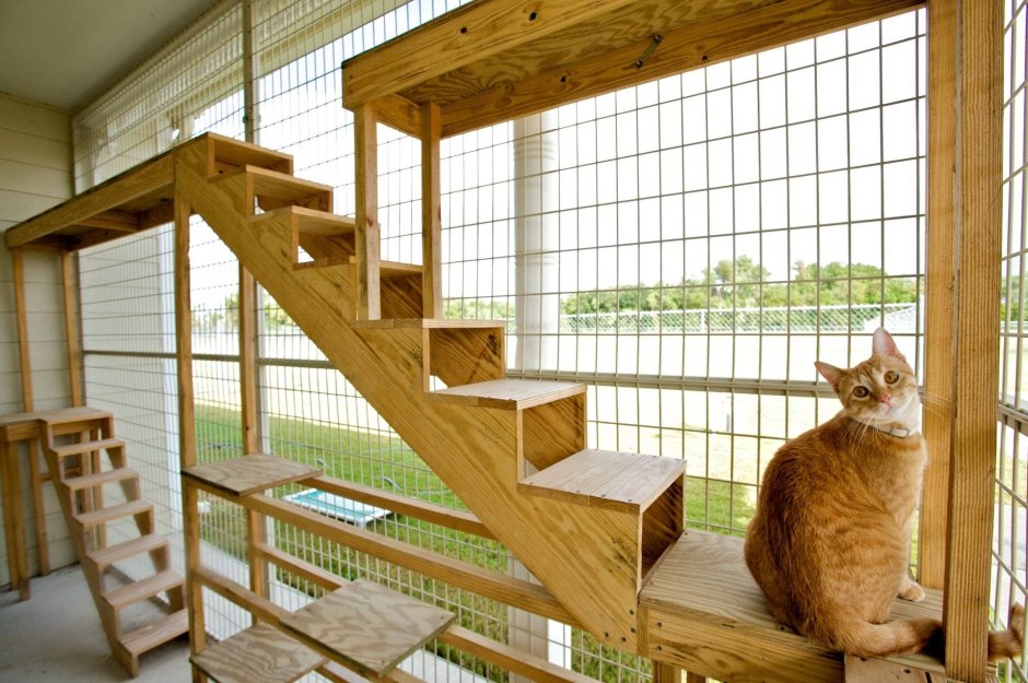 Outside Cage