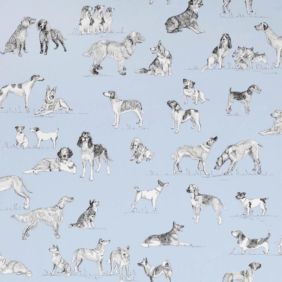 Dog Home Decor