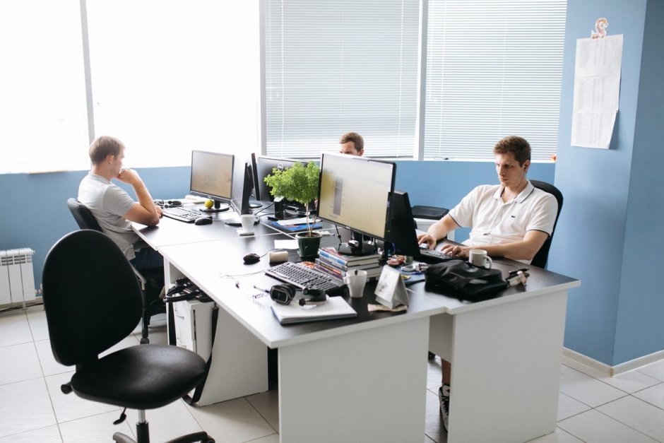 Оформление стен в офисе