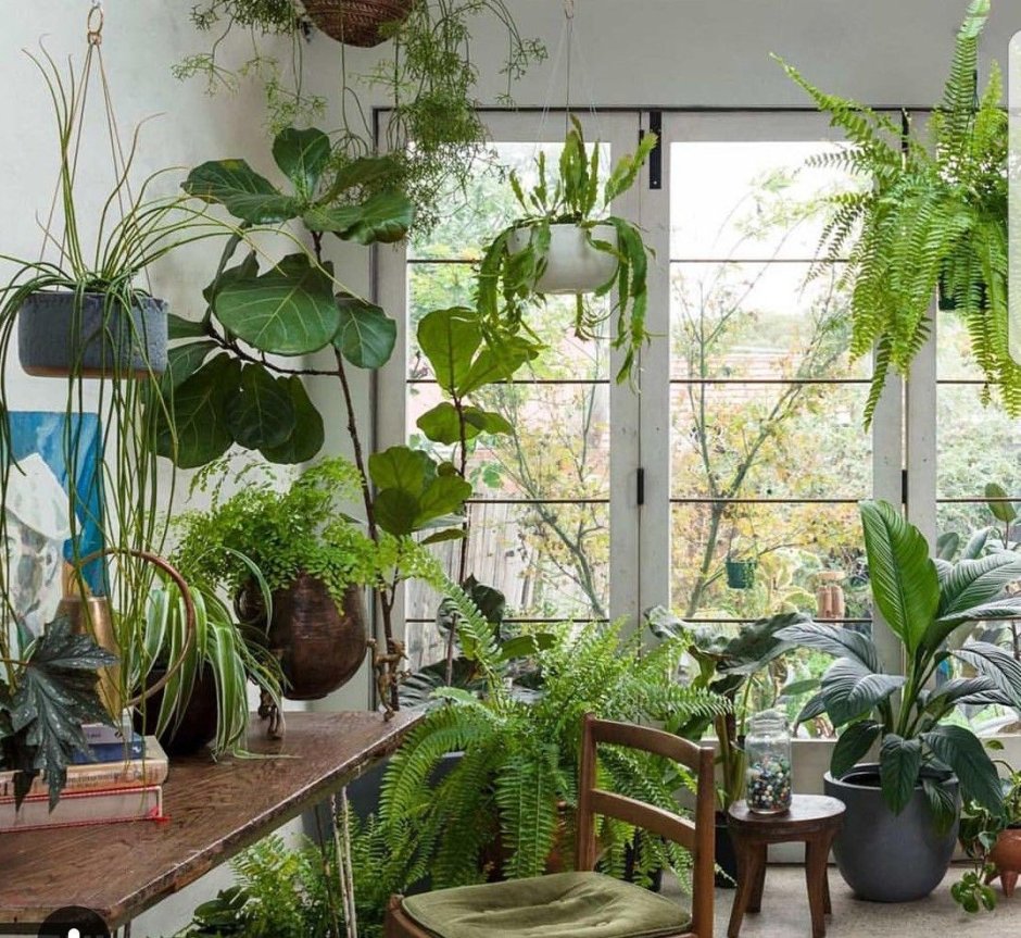 Комнатный садик из растений в интерьере