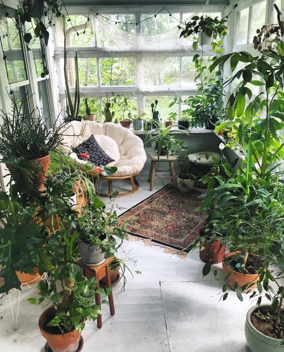 Много растений в квартире