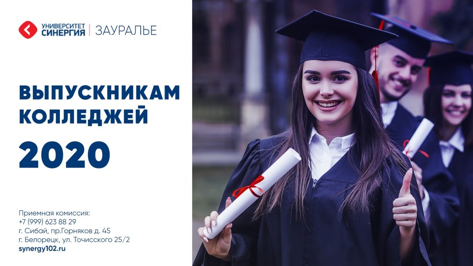 Диплом СИНЕРГИЯ