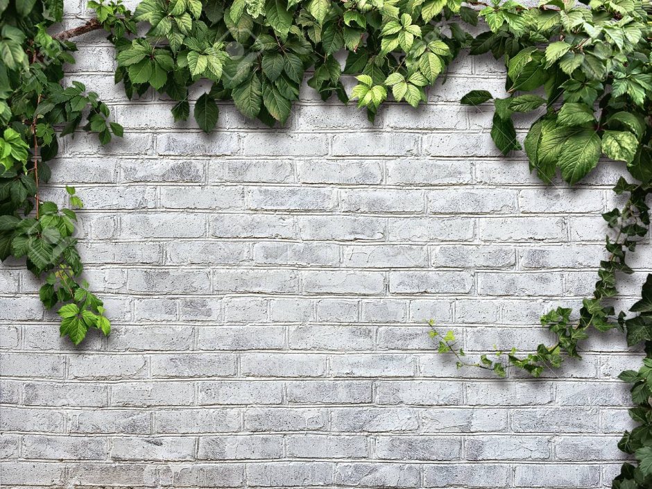 Кирпичная стена с зеленью