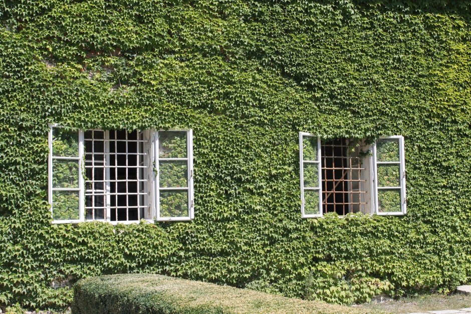 Зеленые окна в Германии