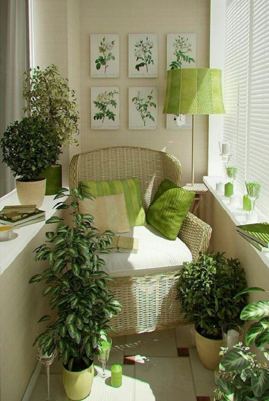 Растения в дом
