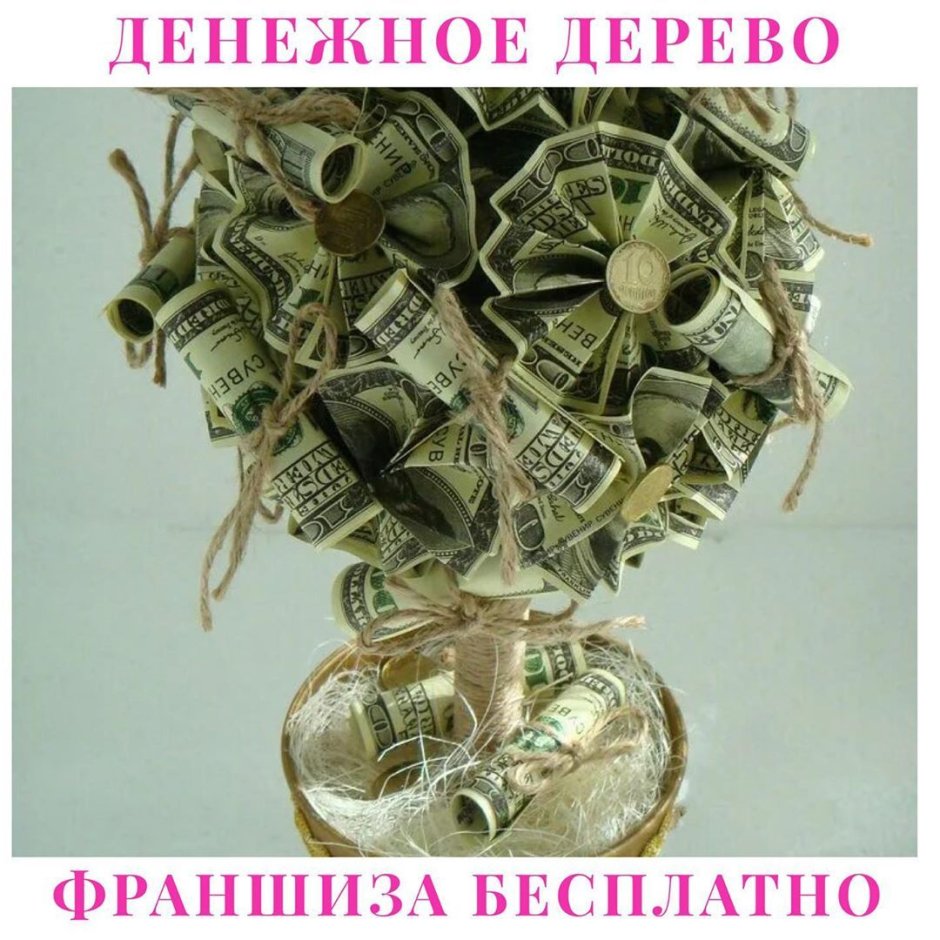 Денежное дерево евро