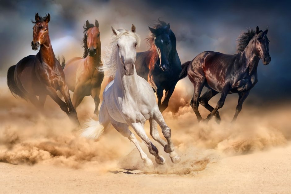 Картина на стену с лошадьми