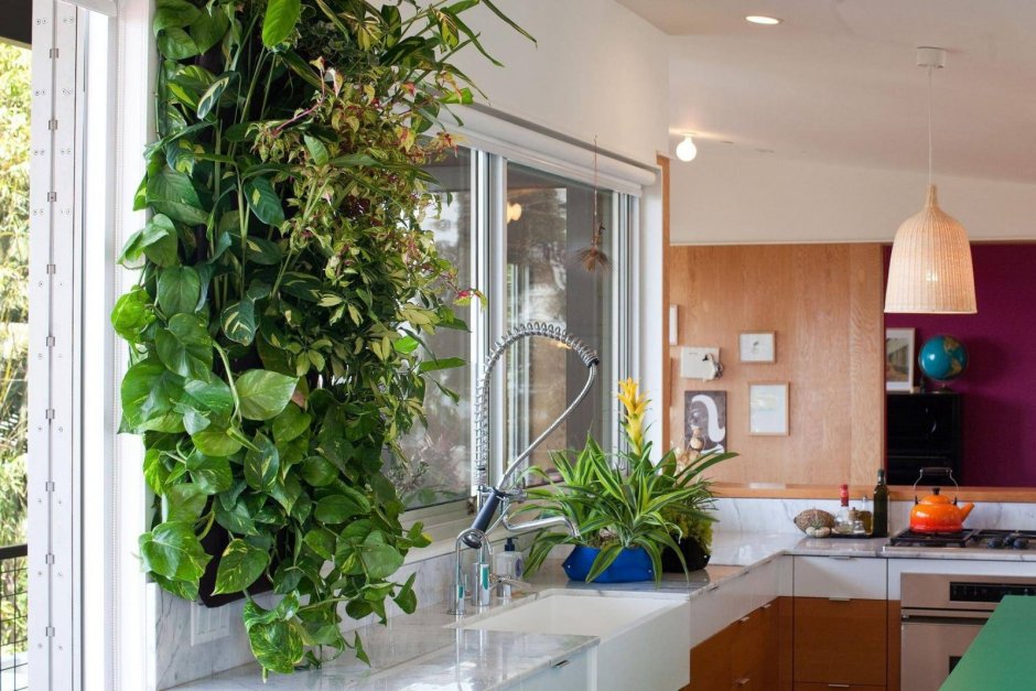 Гарден Китчен Garden Kitchen