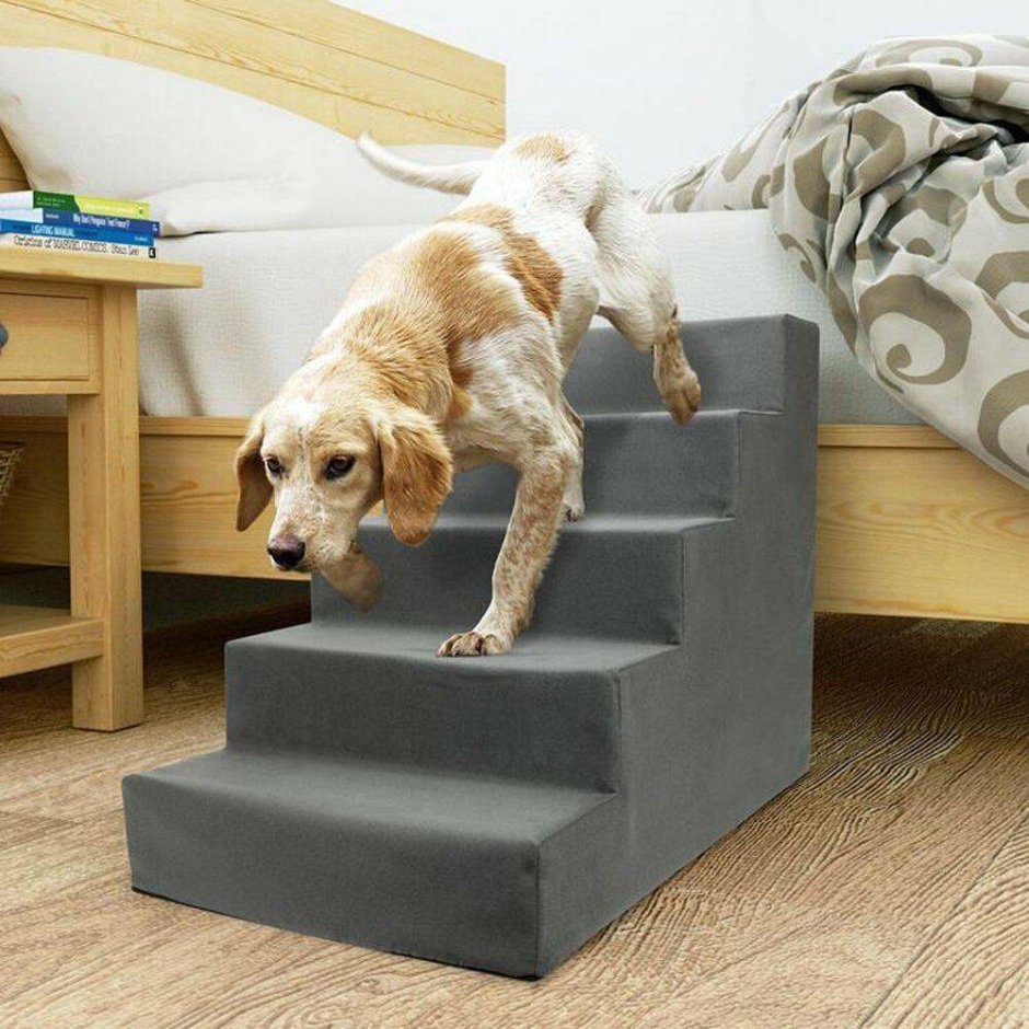 Лестница для собак из коробок