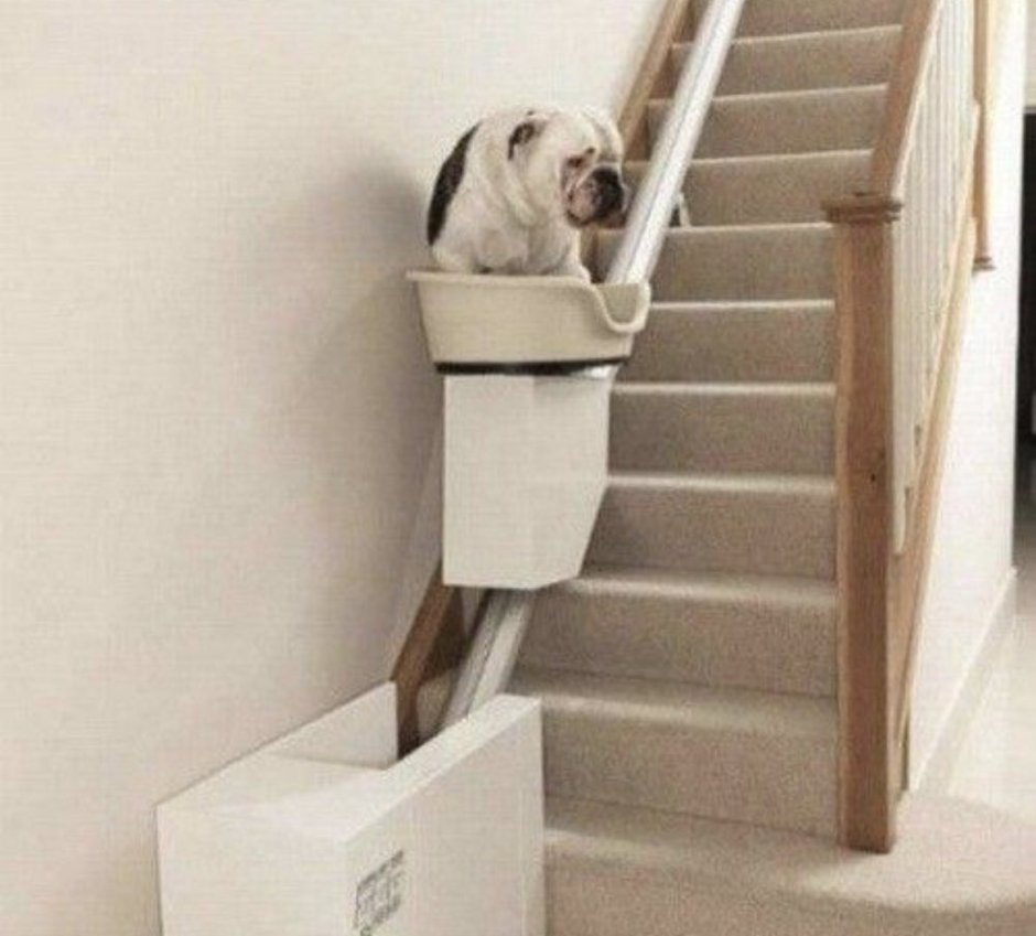 Лестница для собак из коробок