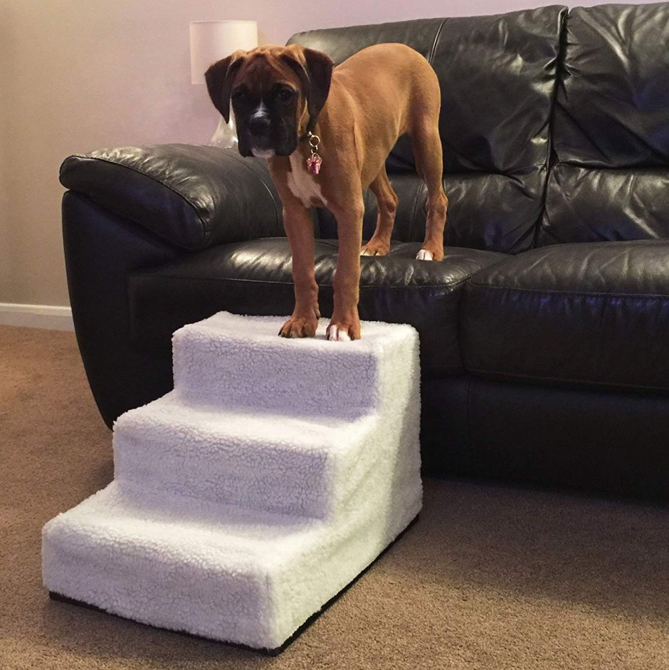 Лестница для собак из картона