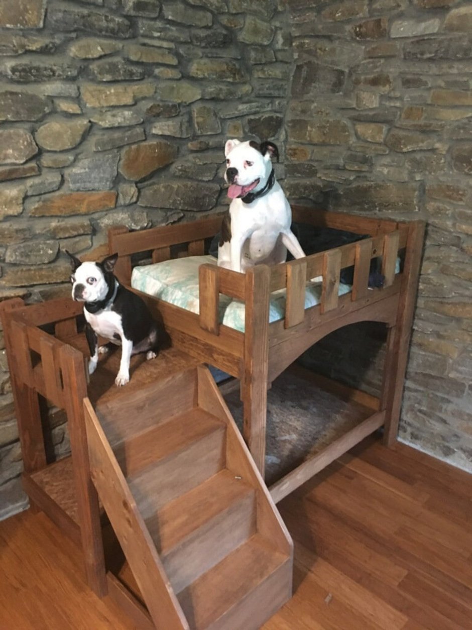 Пандус для собак на лестницу
