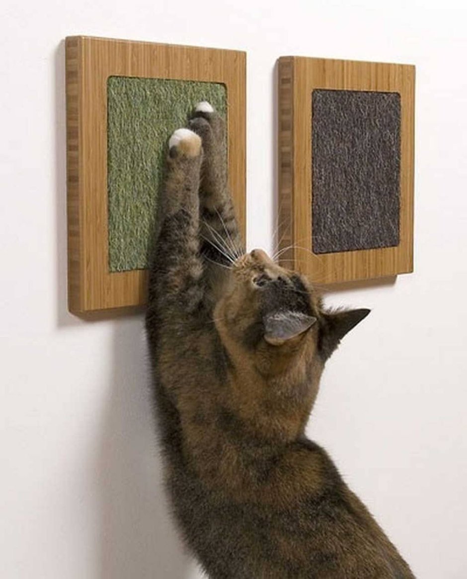 Когтеточка для кошек на стену