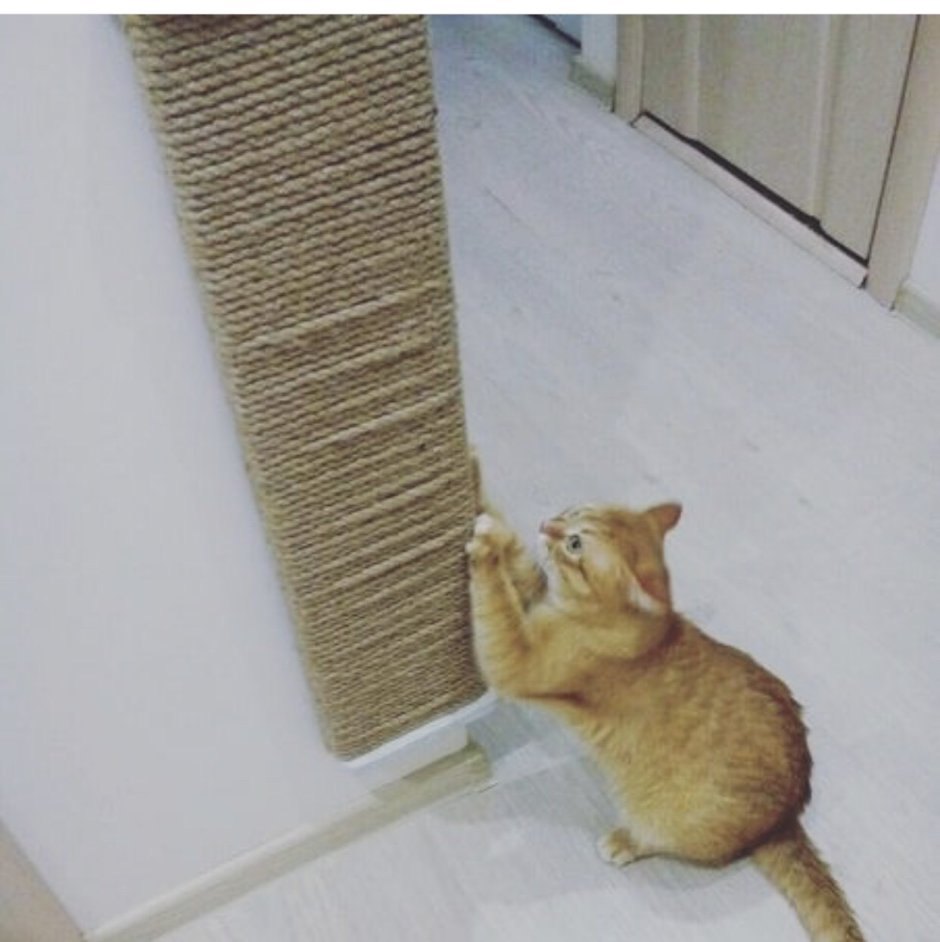 Когтеточка для кошек на угол стены