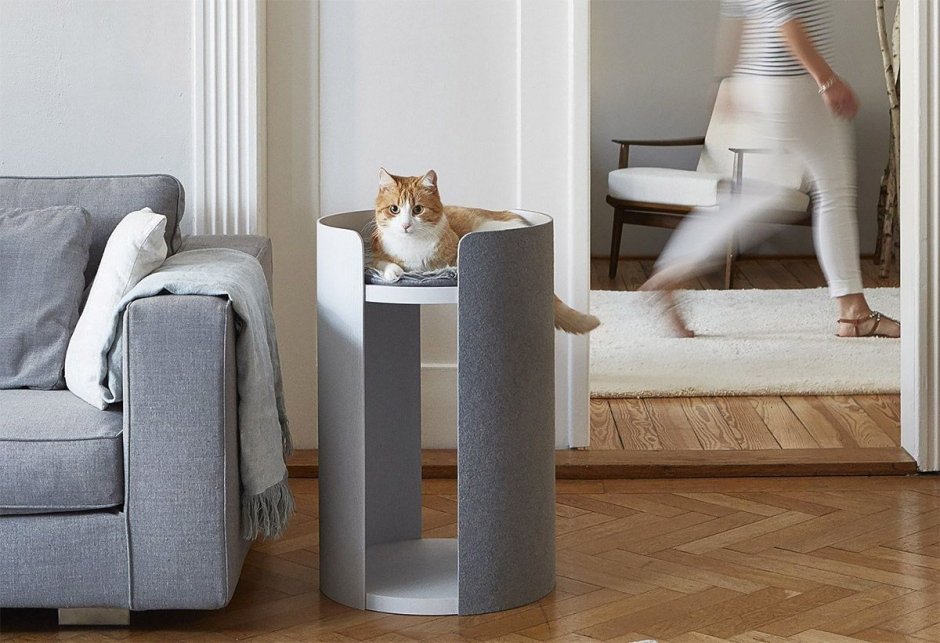 Необычная мебель для кошек