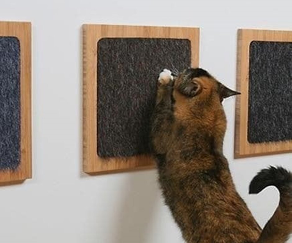 Ковер на стене для кошки