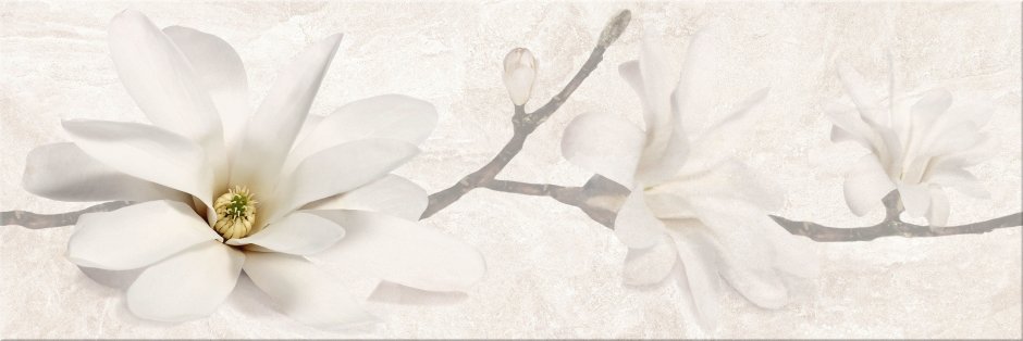 Коллекция Cersanit Dahlia