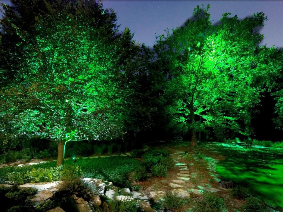 Зеленая подсветка деревьев
