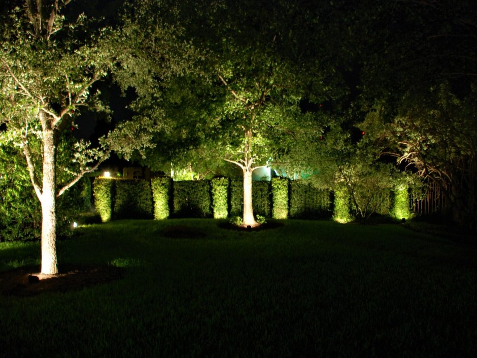 Подсветка деревьев в саду