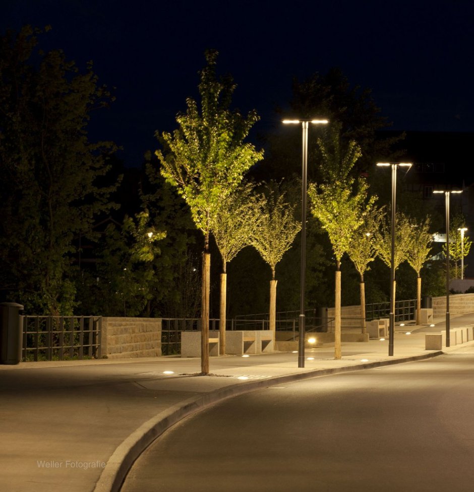 Уличная подсветка деревьев
