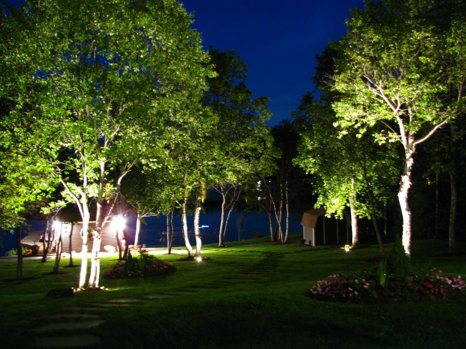 Подсветка деревьев