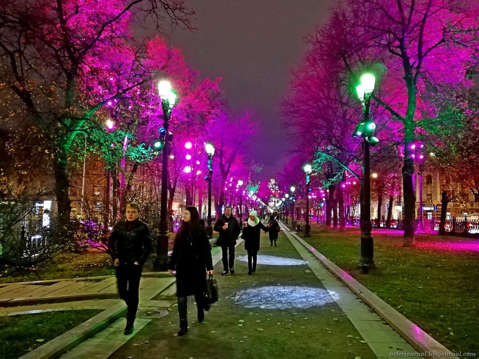 Московская аллея Гоголевский бульвар деревьев