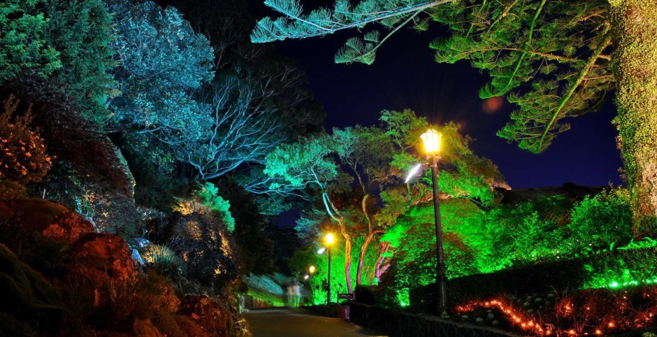 Парк Горького подсветка деревьев в парке Горького