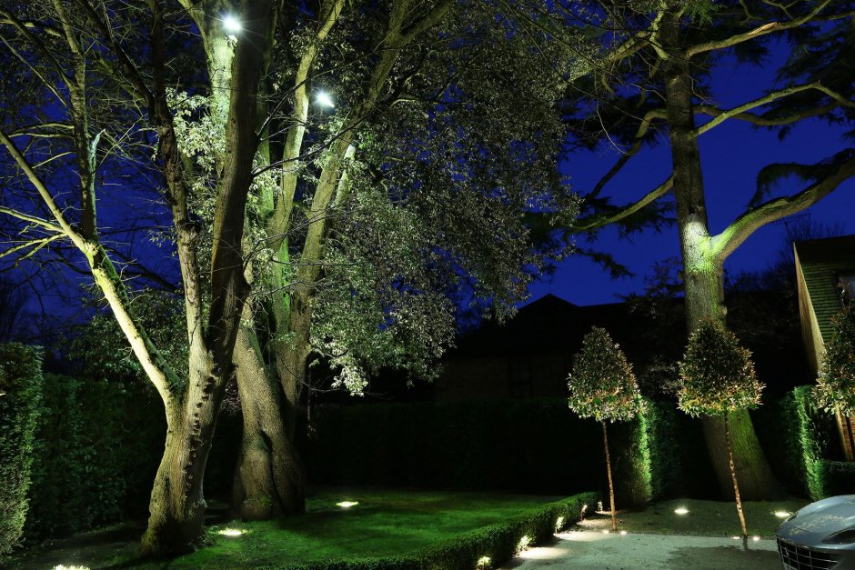 Подключение подсветки деревьев