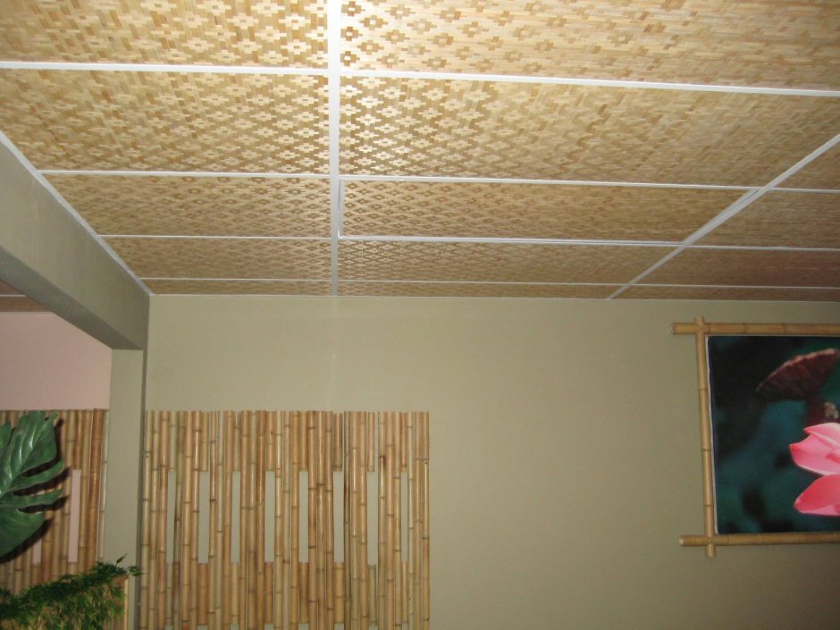 Perfaten Linear Removable панели 40×120