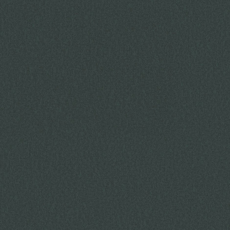 Обои Rasch 860245