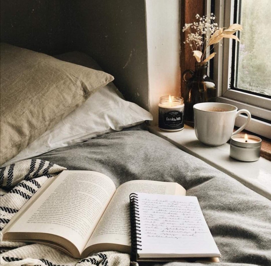 Чтение книг Эстетика