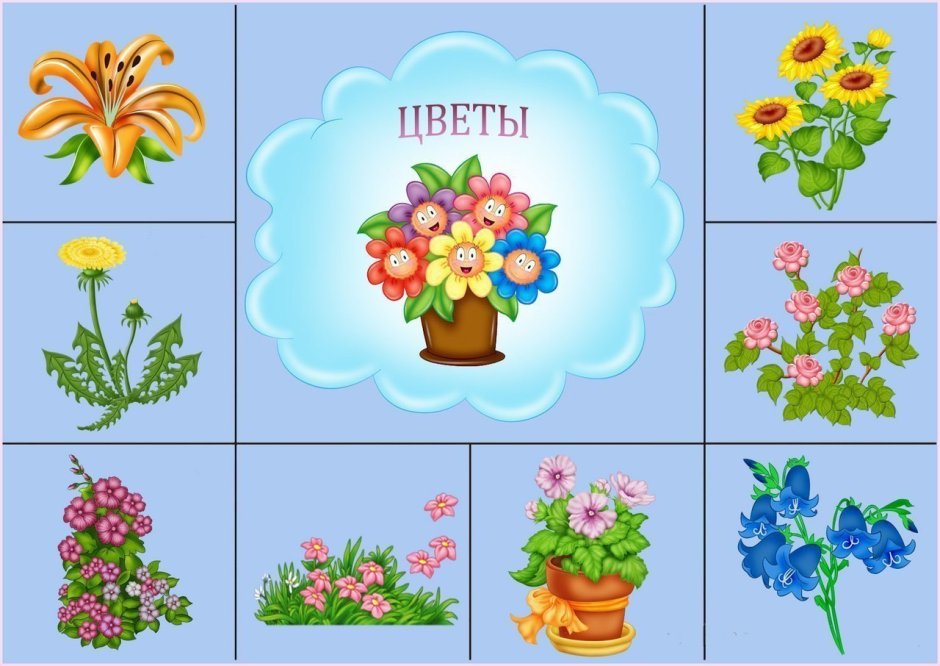 Цветы для детской