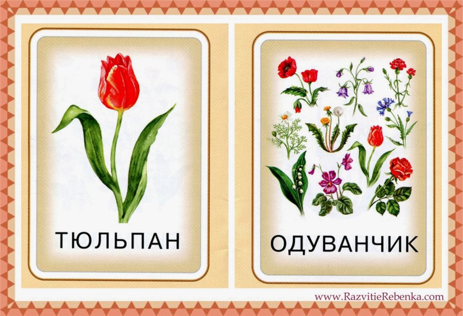 Карточки с изображением цветов