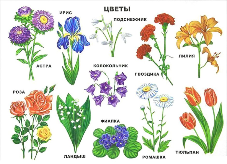 Цветы для девочки на день рождения