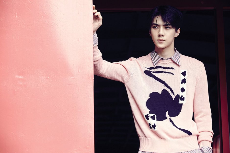 EXO-K Сэхун