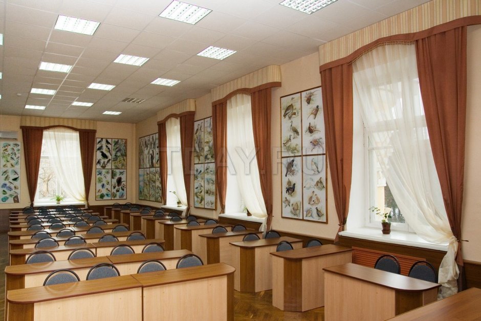 Жалюзи в класс в школу