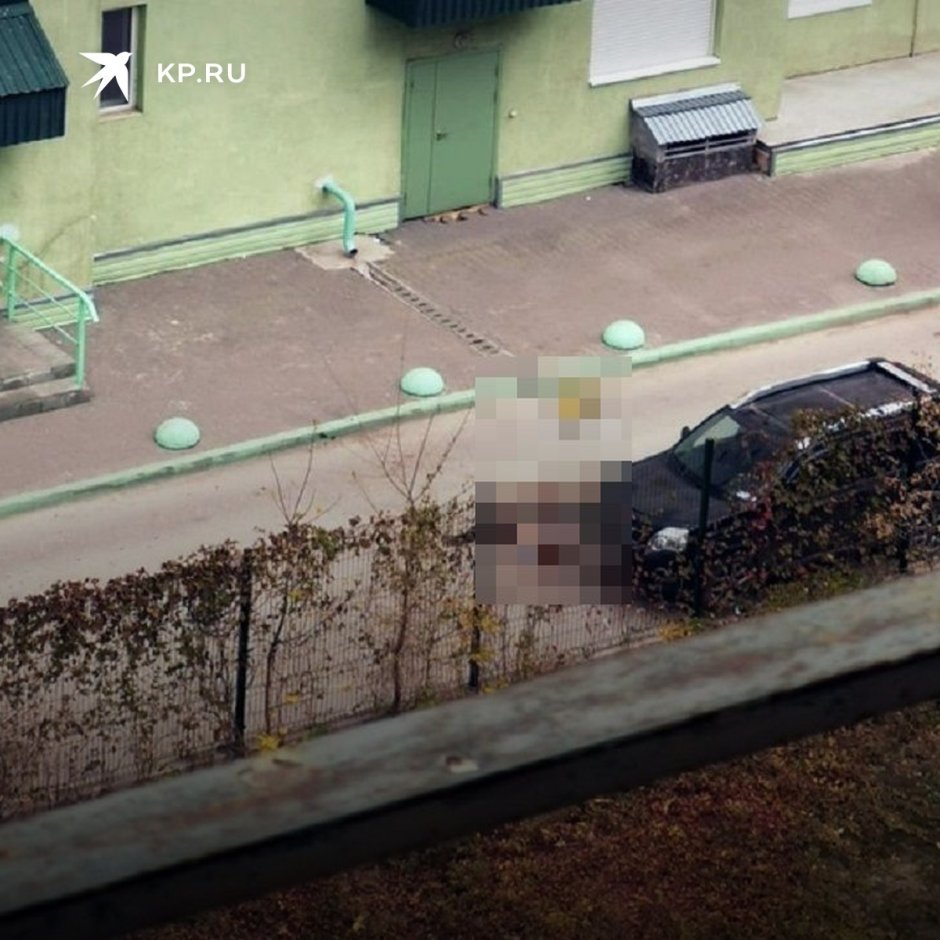 Девочка выпала из окна школы