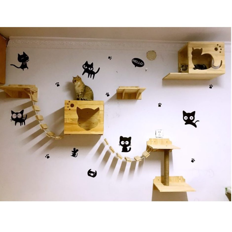Кошачьи игры для детей