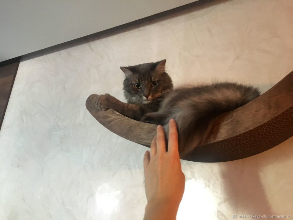 Настенная лежанка для кота